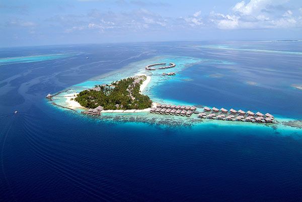 Coco Palm Bodu Hithiȼٴ