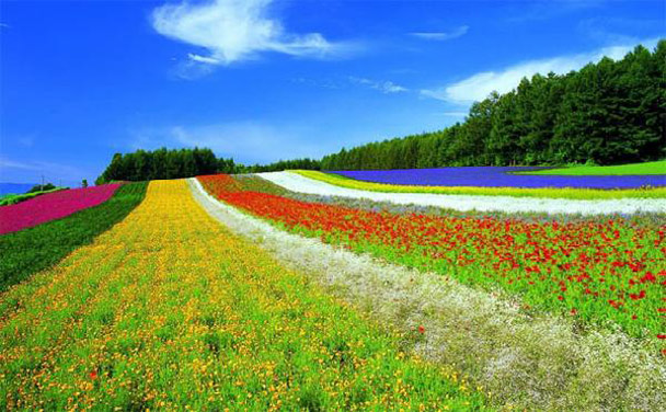 南昌现代农业示范区七大项目签约，总投资11亿